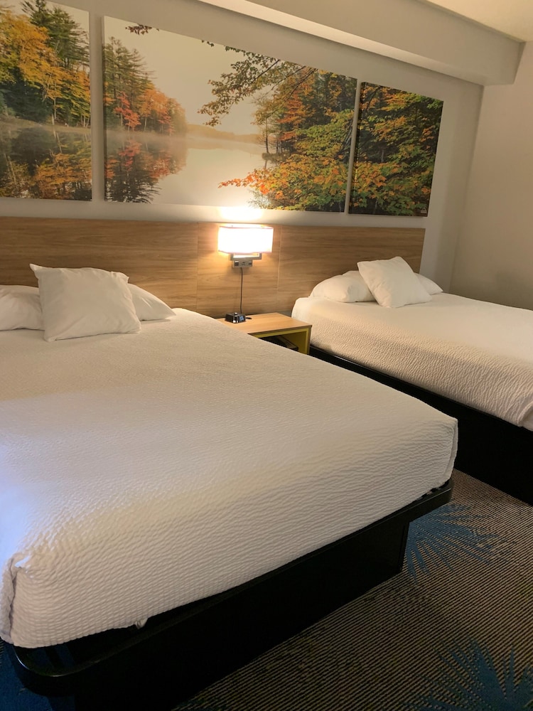 Studio Suite, 2 Queen Beds, Non Smoking - Photo 2
