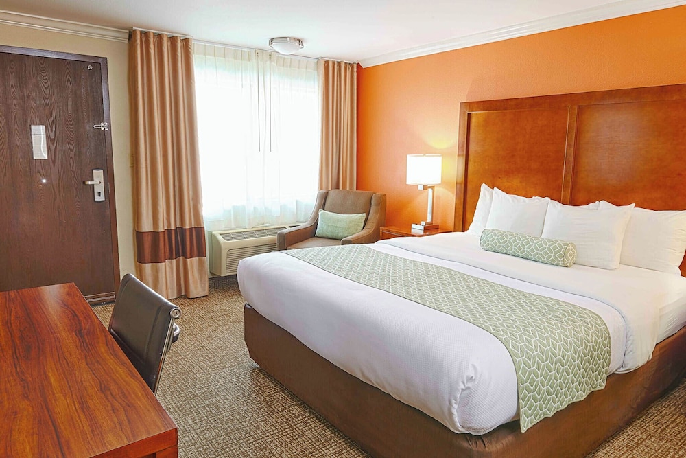 Superior Room, 1 King Bed, Non Smoking