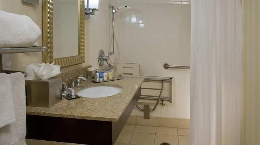 Room, 1 King Bed, Accessible, Non Smoking (Roll-in Shower) - Photo 4
