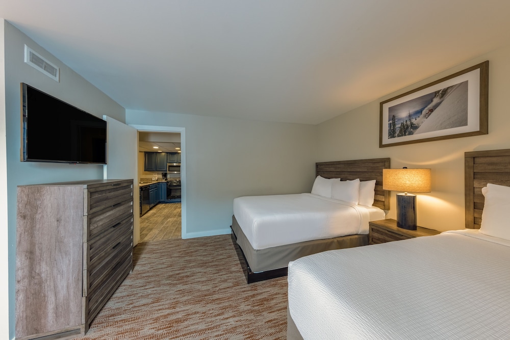 2 Bedroom Suite photo 2
