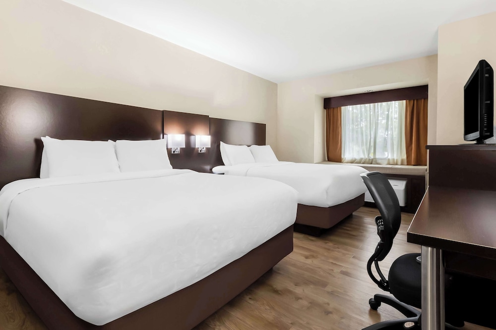 Standard Room, 2 Double Beds, Accessible, Bathtub (with Sofabed) - Photo 2