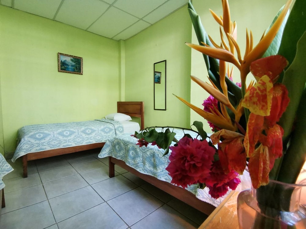 Triple Room photo 3