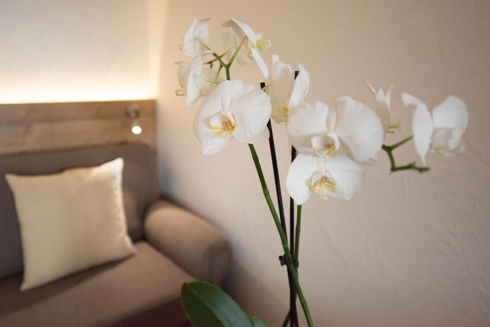 Classic Double Room Woodside View - Photo 11