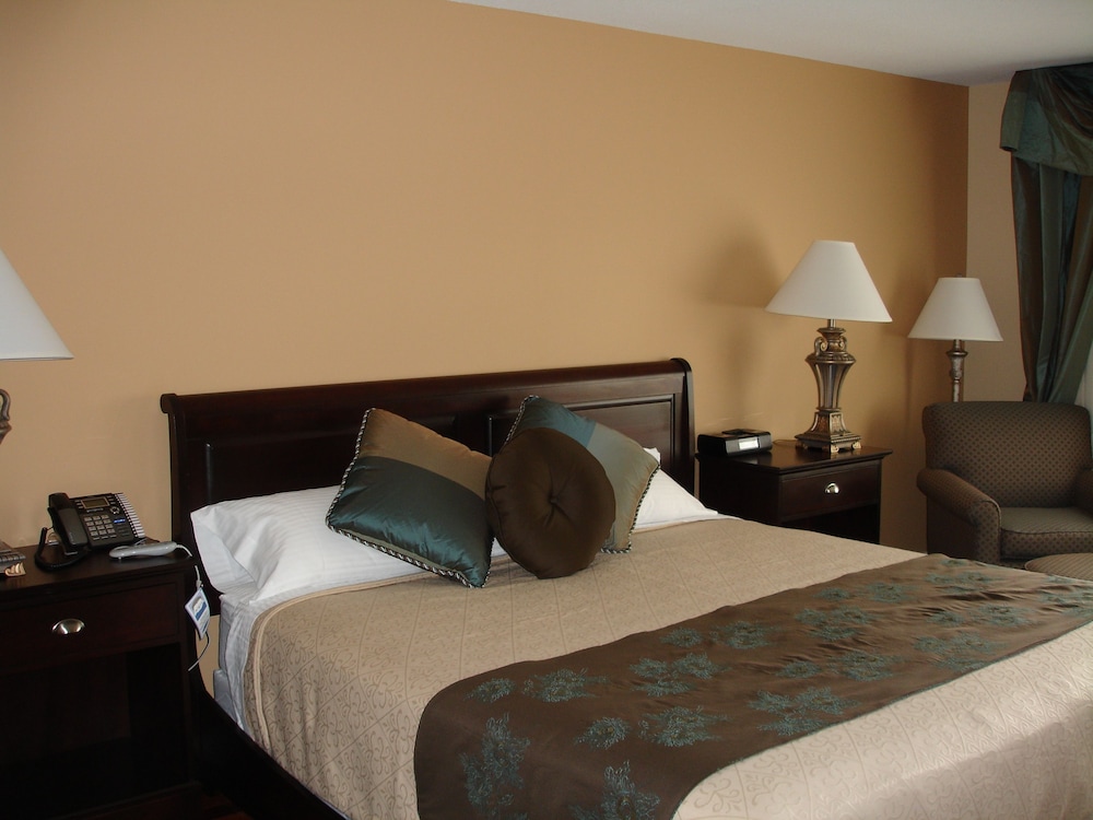 Room, 1 King Bed with Sofa bed, Accessible, Non Smoking photo 2