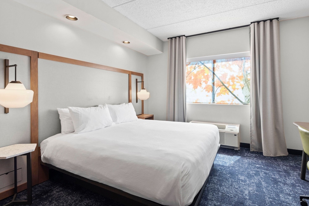 Suite, 1 King Bed with Sofa bed photo 2