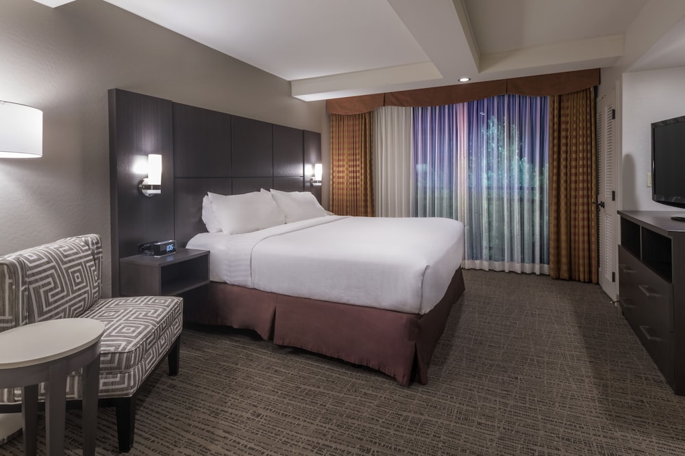 Suite, 1 Bedroom, Roll-in Shower (Mobility) - Photo 1