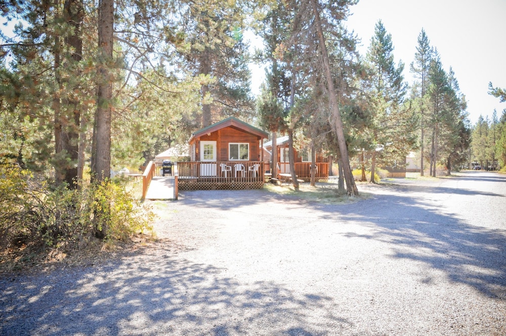 Cabin (Pets OK, Linens Available) photo 3