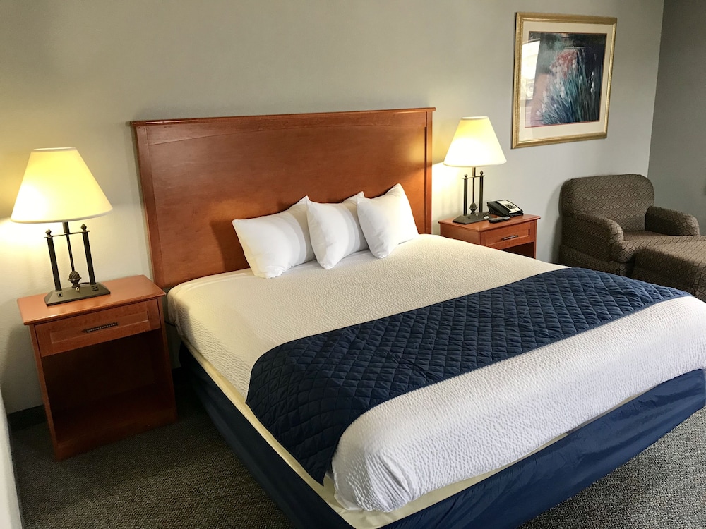 Economy Studio Suite, 1 King Bed