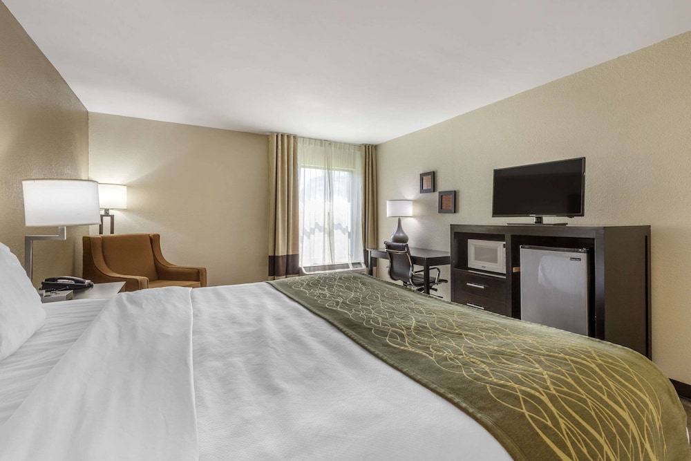 Standard Room, 1 King Bed (Accessible) - Photo 4