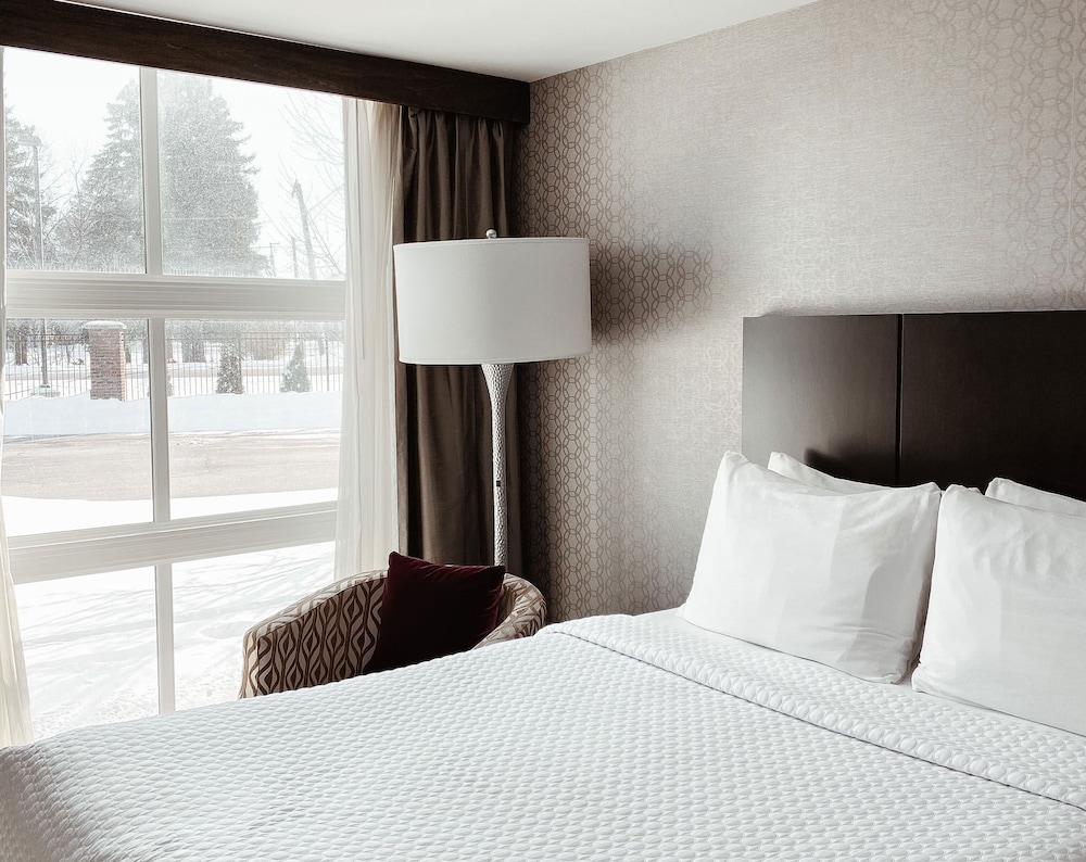 Suite, 1 King Bed - Photo 2
