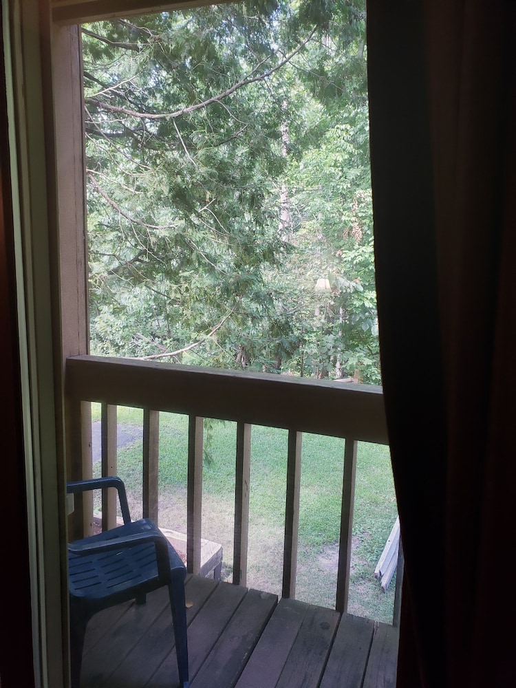 Executive Studio, Multiple Beds, Non Smoking, photo 6