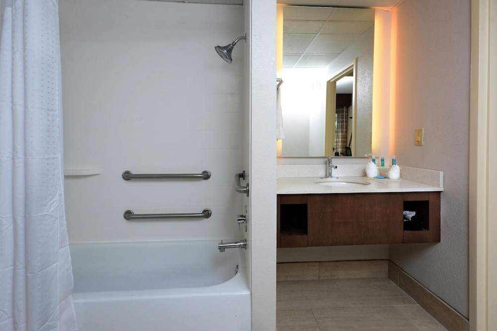 Standard Room, 1 King Bed, Accessible (Communications, Accessible Tub) - Photo 4