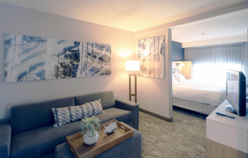 Suite, 1 King Bed With Sofa Bed, Corner