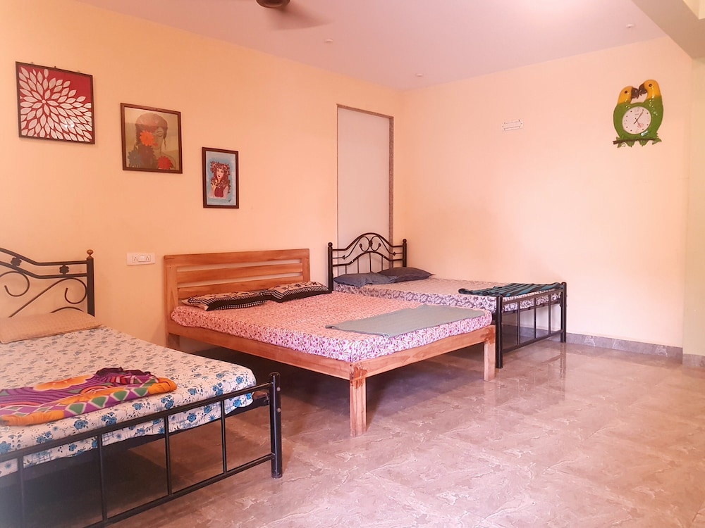 Basic Shared Dormitory photo 2