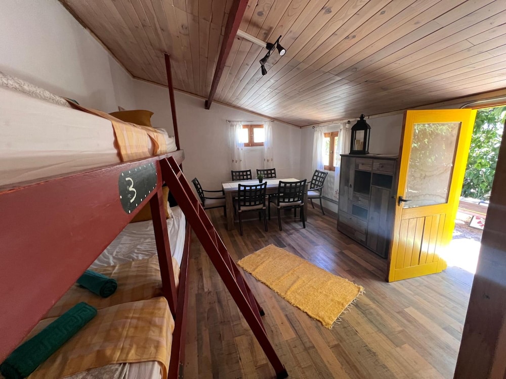 Standard Shared Dormitory, Mixed Dorm, Non Smoking, Mountain View