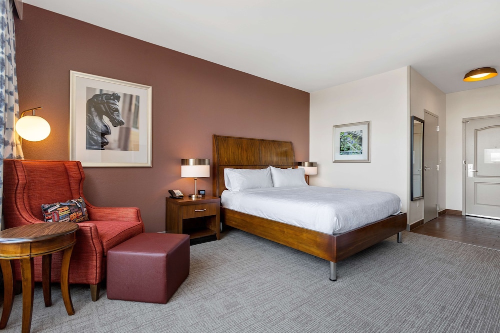 Room, 1 King Bed, Accessible (Mobility, Bathtub), City View, Snack Room - Photo 1