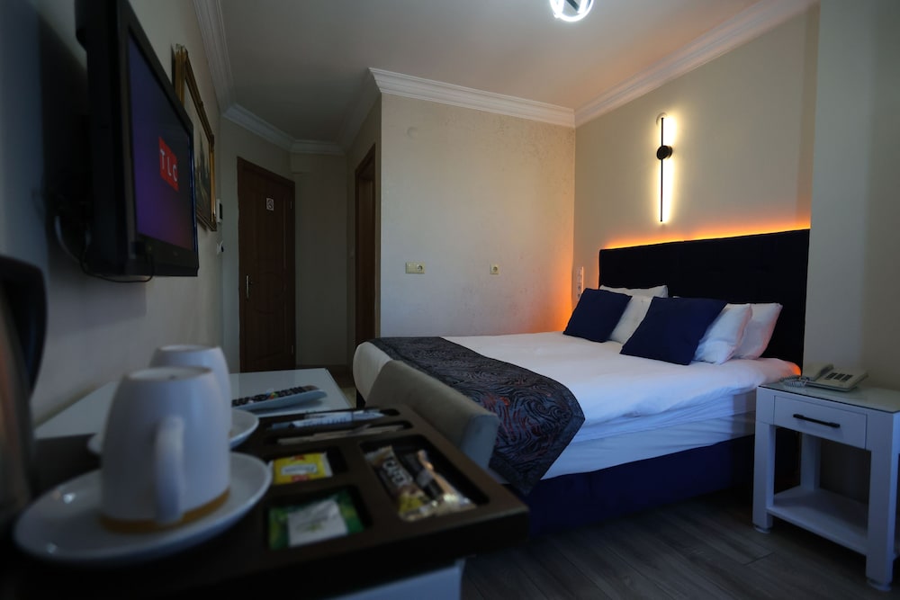 Deluxe Double or Twin Room photo 3