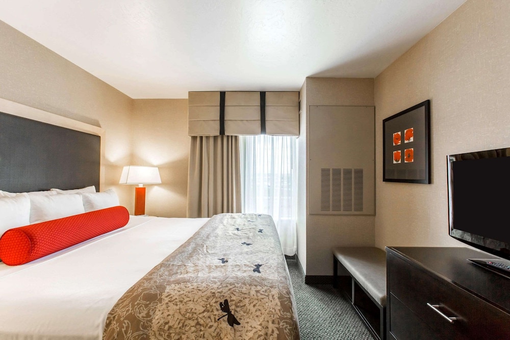 Suite, 1 King Bed with Sofa bed, Accessible, Non Smoking - Photo 4