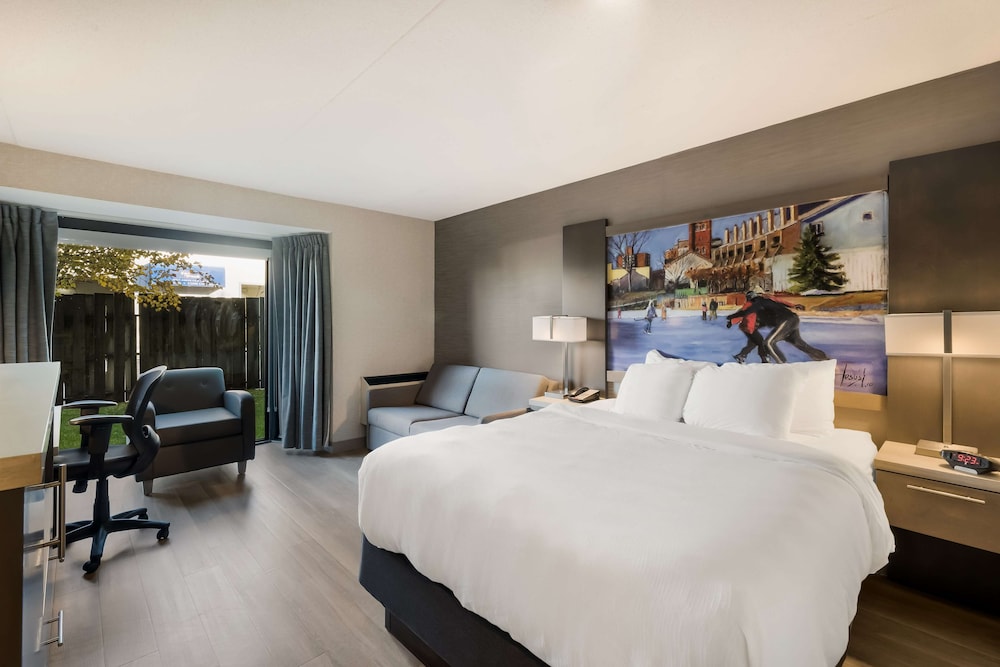 Standard Room, 1 Queen Bed, Accessible, Non Smoking (with Sofabed) - Photo 1
