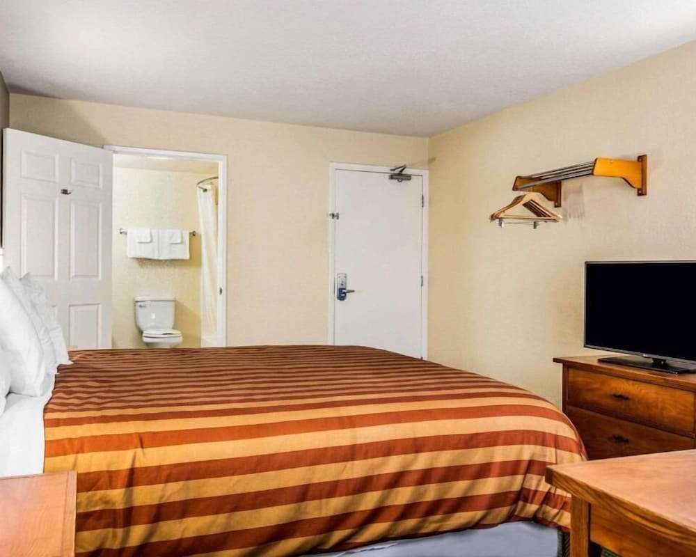 Room, 1 King Bed, Non Smoking - Photo 8