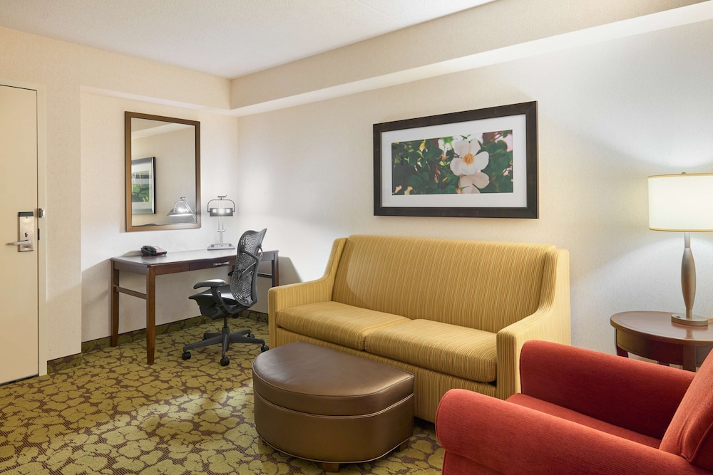 Suite, 1 Bedroom - Photo 1