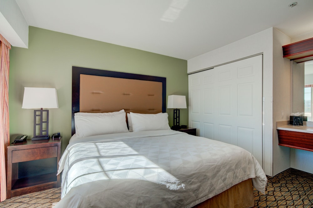 Suite, 1 King Bed - Photo 6