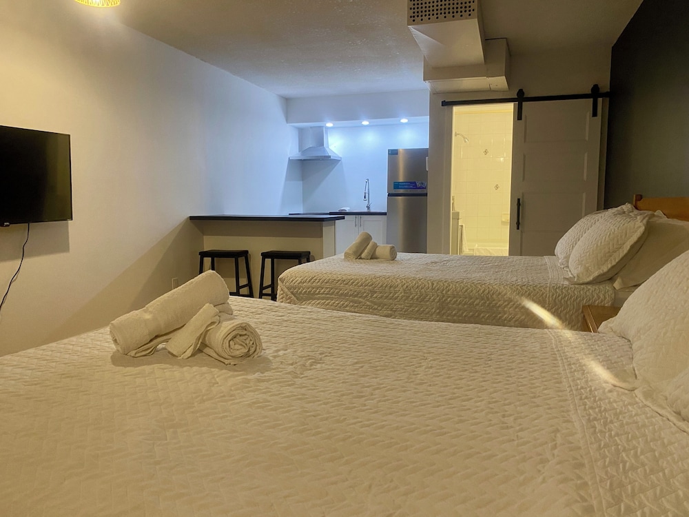 Superior Apartment, 2 Queen Beds, Kitchen photo 2
