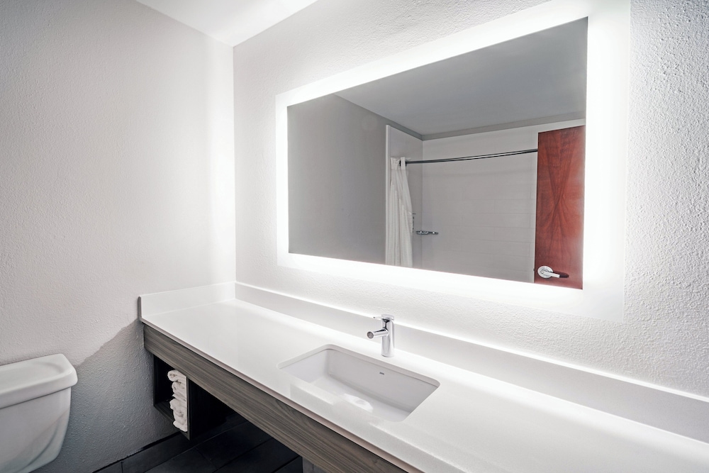 Standard Room, 1 King Bed, Accessible - Photo 5