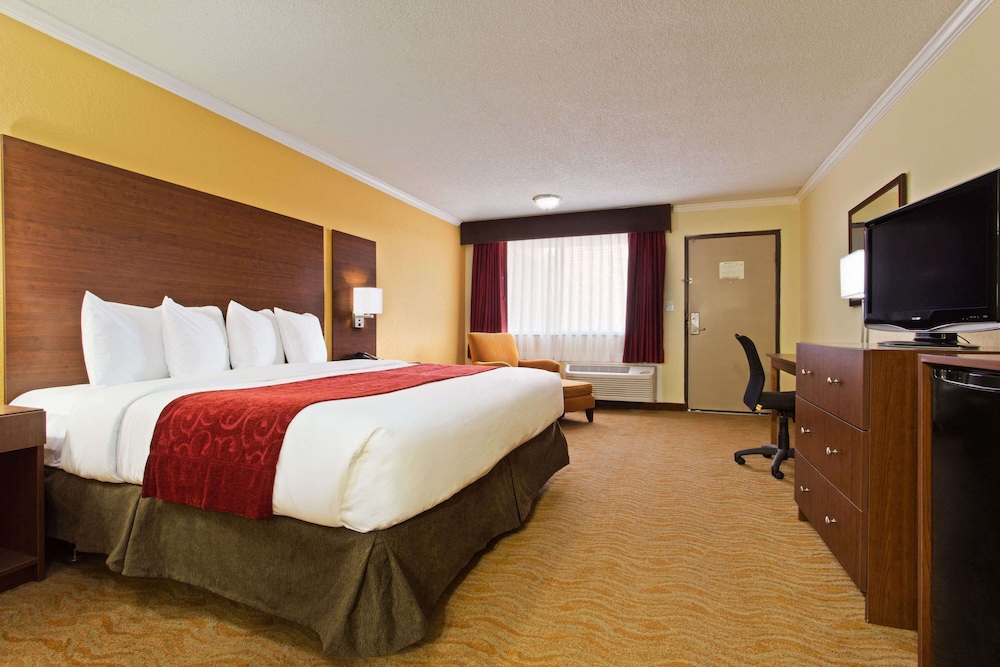 Room, 1 King Bed, Non Smoking photo 3