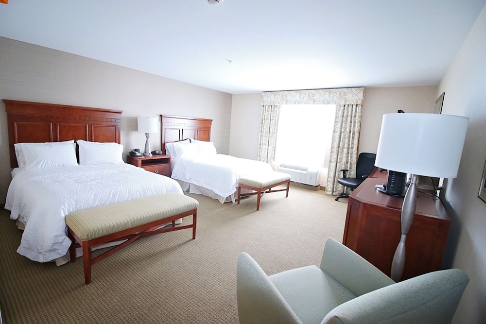 Two Queen Beds photo 2