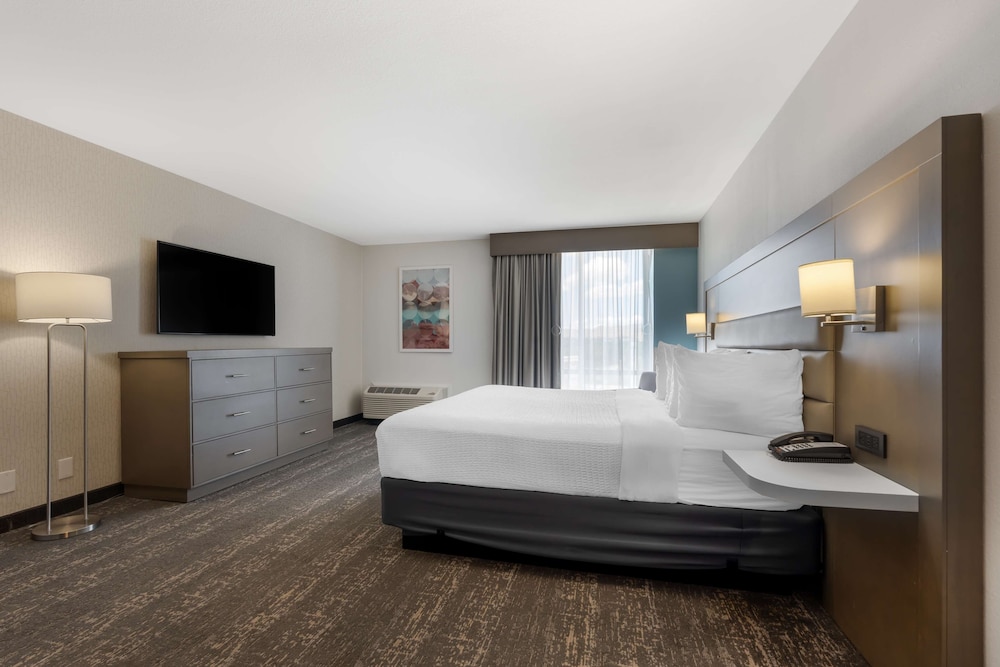 Standard Room, 1 King Bed, Accessible, Refrigerator & Microwave - Photo 4