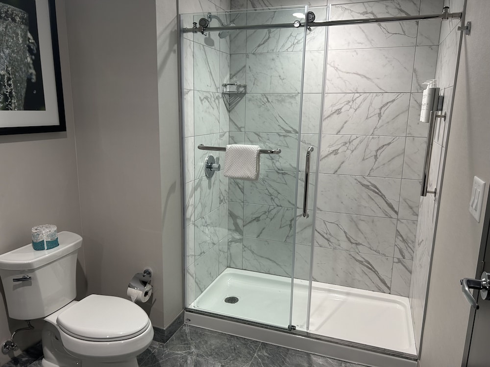 1 King Studio Suite Accessible (Roll-In Shower) - Photo 5