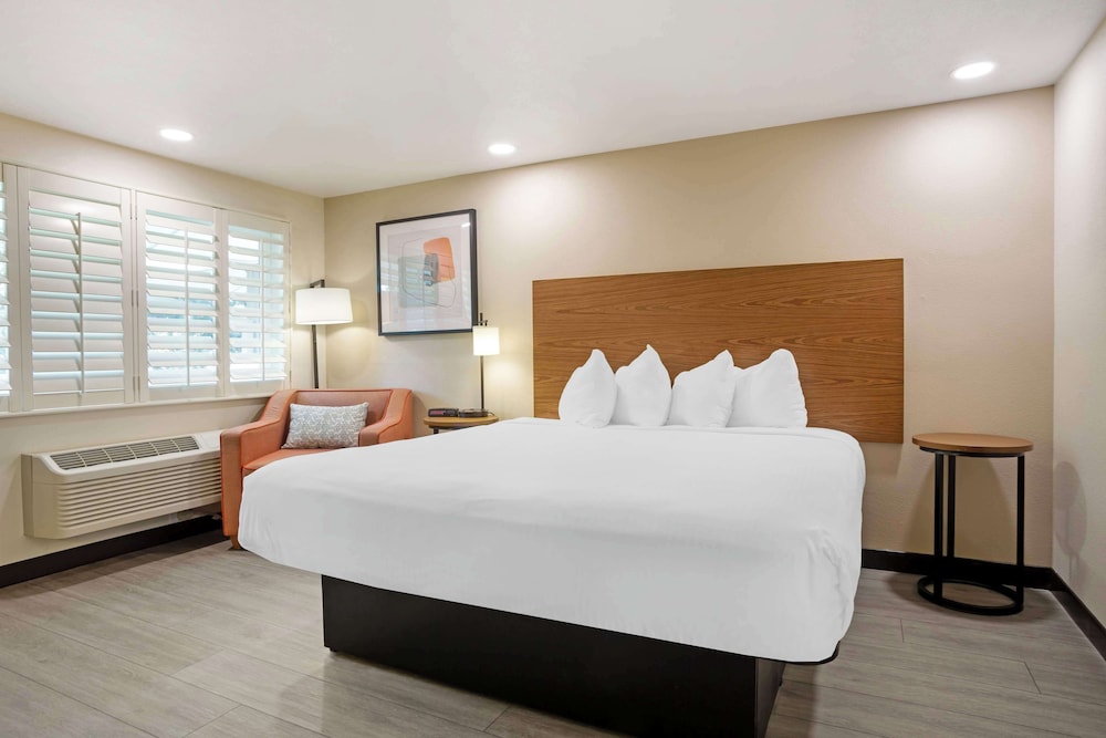 Standard Room, 1 King Bed, Non Smoking, Refrigerator & Microwave photo 1