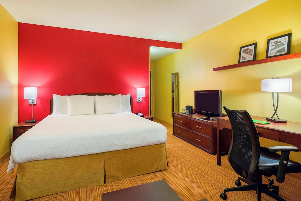 Room, 1 King Bed With Sofa Bed (Mobility/Hearing Access, Roll-In Shwr)