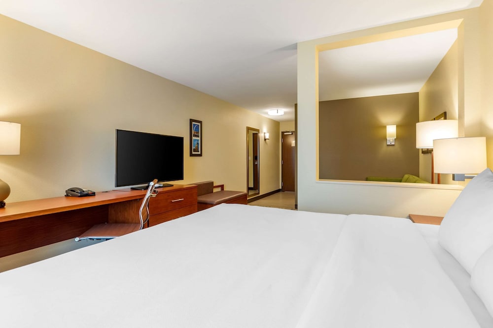 Suite, 1 King Bed, Non Smoking - Photo 6
