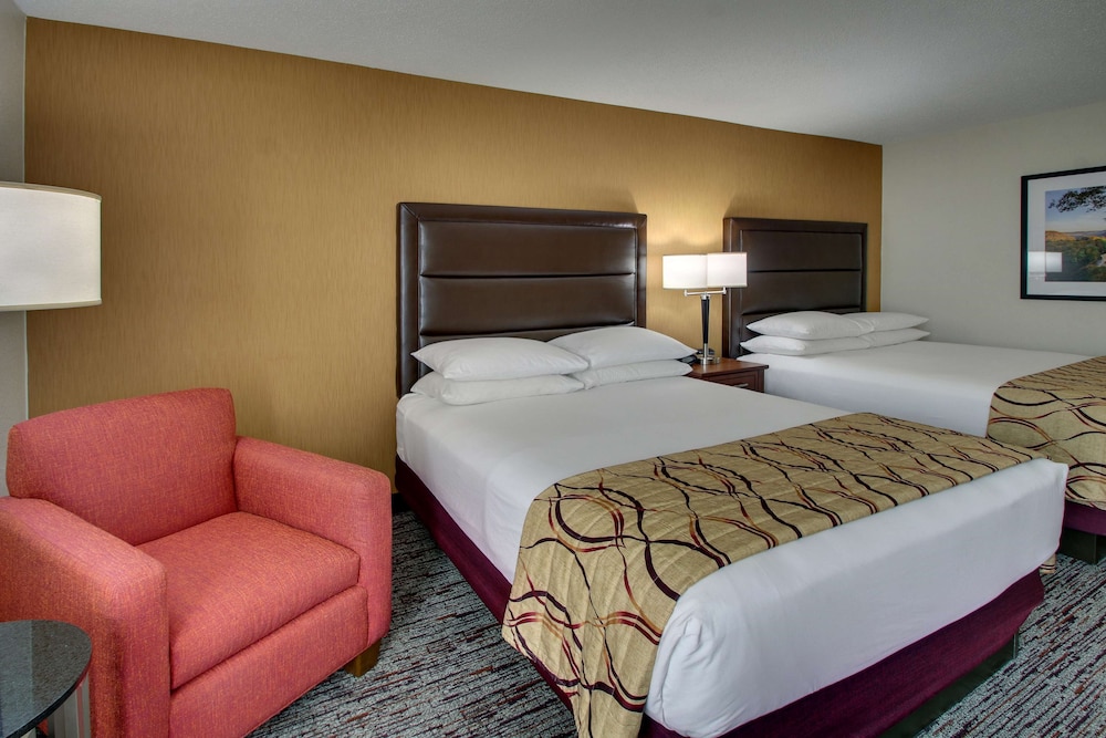 Deluxe Room, 2 Queen Beds, Refrigerator & Microwave photo 3