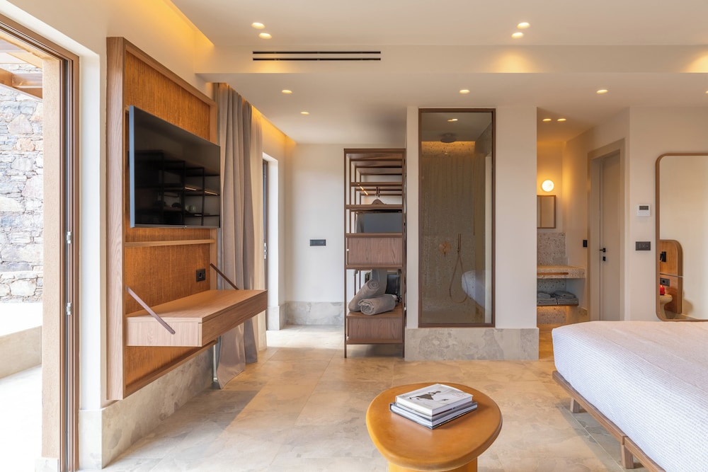 Loft Plunge Pool (2+1) - Photo 13