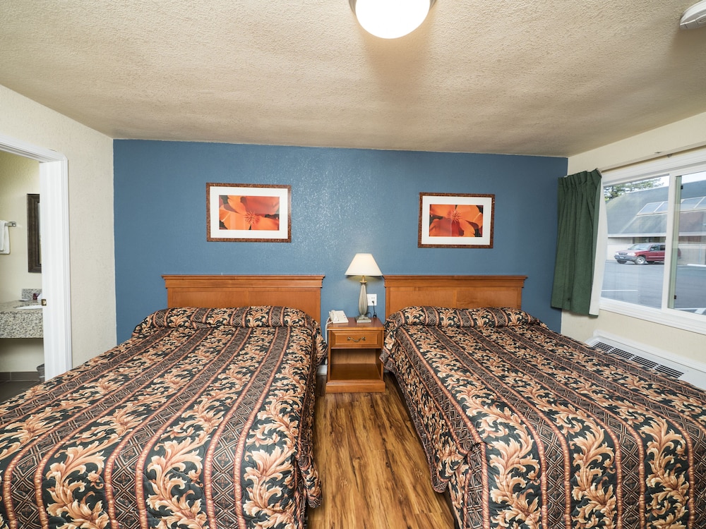 Studio Suite, 2 Double Beds, Kitchen photo 3