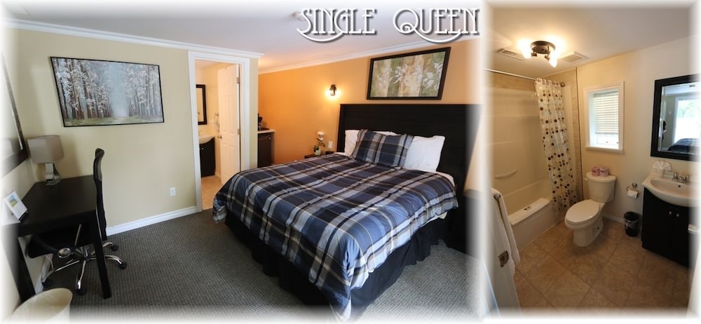 Room, 1 Queen Bed photo 1