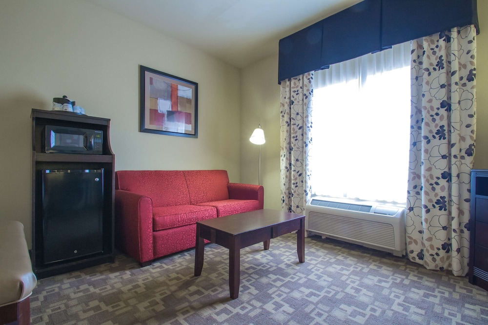 Room, 1 King Bed with Sofa bed, Accessible, Non Smoking (Mobility & Hearing, Roll-in Shower) - Photo 1