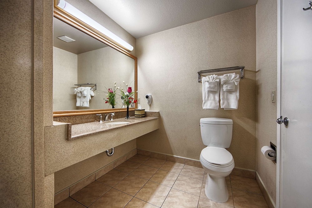 Suite, 1 King Bed, Non Smoking, Refrigerator & Microwave (With Sofabed) photo 3