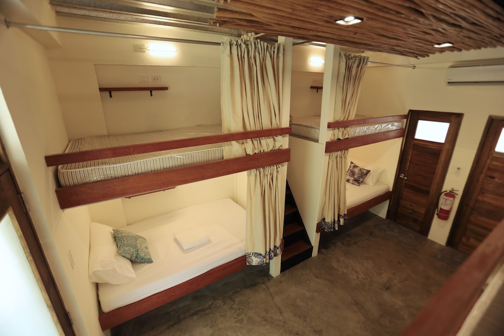 Deluxe Shared Dormitory, Mixed Dorm photo 2