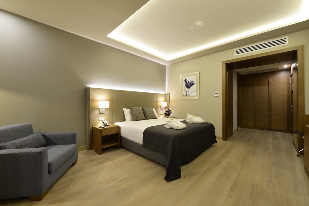 Premium Room, 1 King Bed with Sofa bed, City View