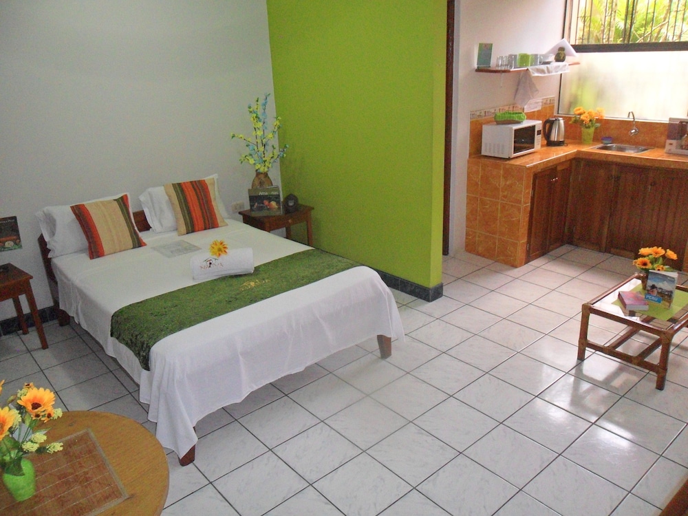 Estudio Estandar 1 Habitacion photo 1