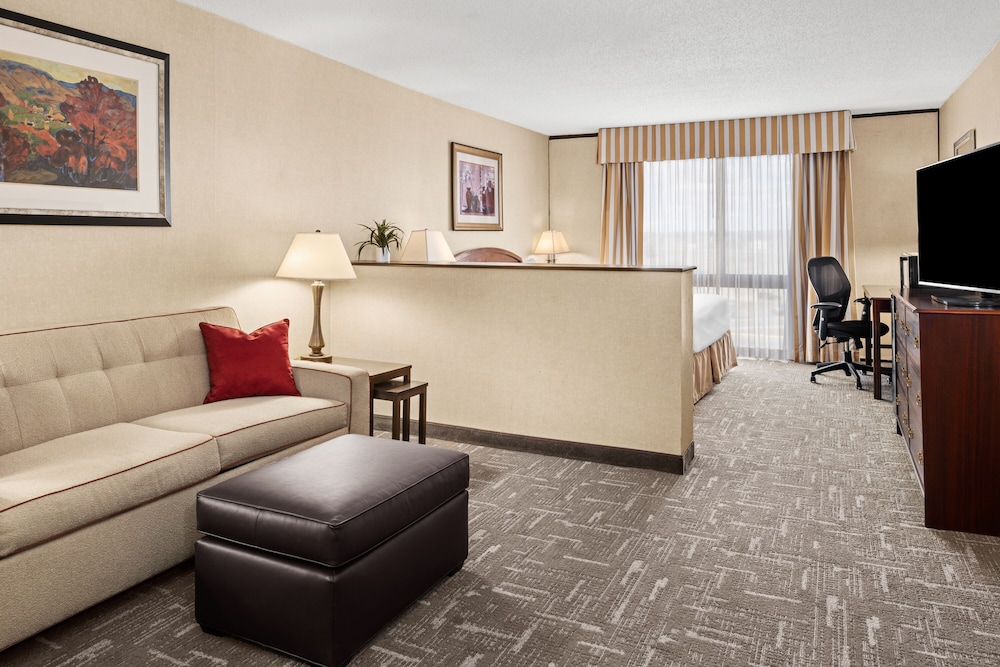 Standard Single Room, 1 King Bed with Sofa bed, Accessible - Photo 3