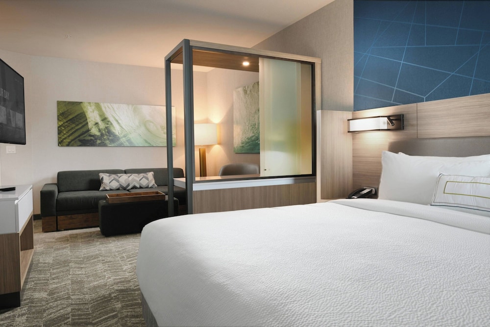 Suite, 1 King Bed with Sofa bed (Hearing Accessible) - Photo 1