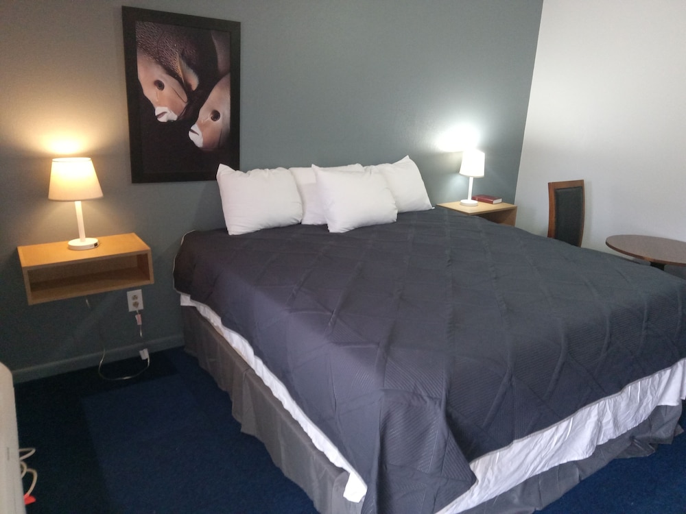 Basic Single Room photo 2