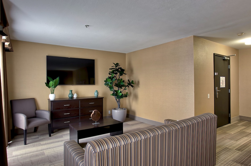 Suite, 1 King Bed photo 1
