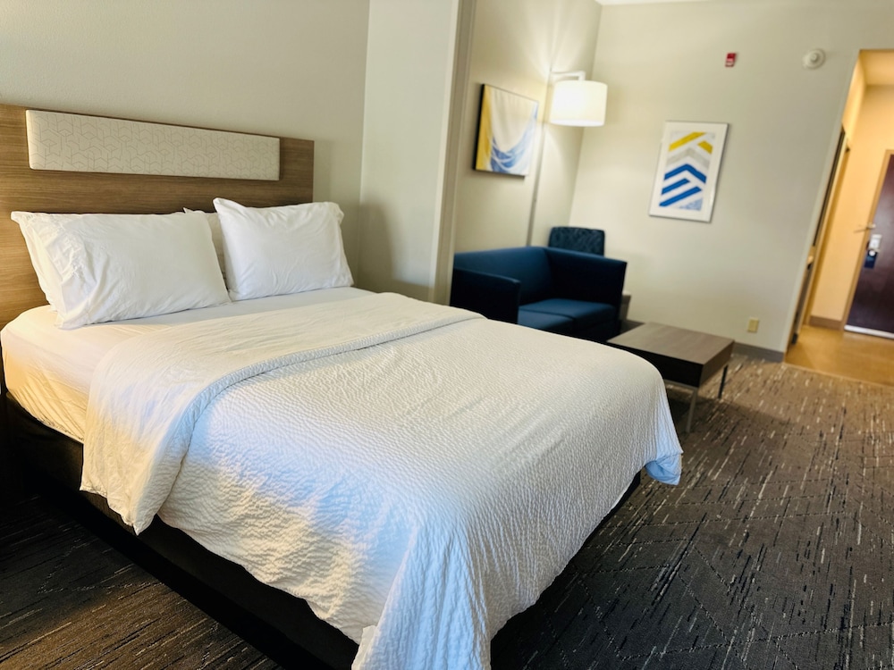 Suite, 1 King Bed - Photo 5