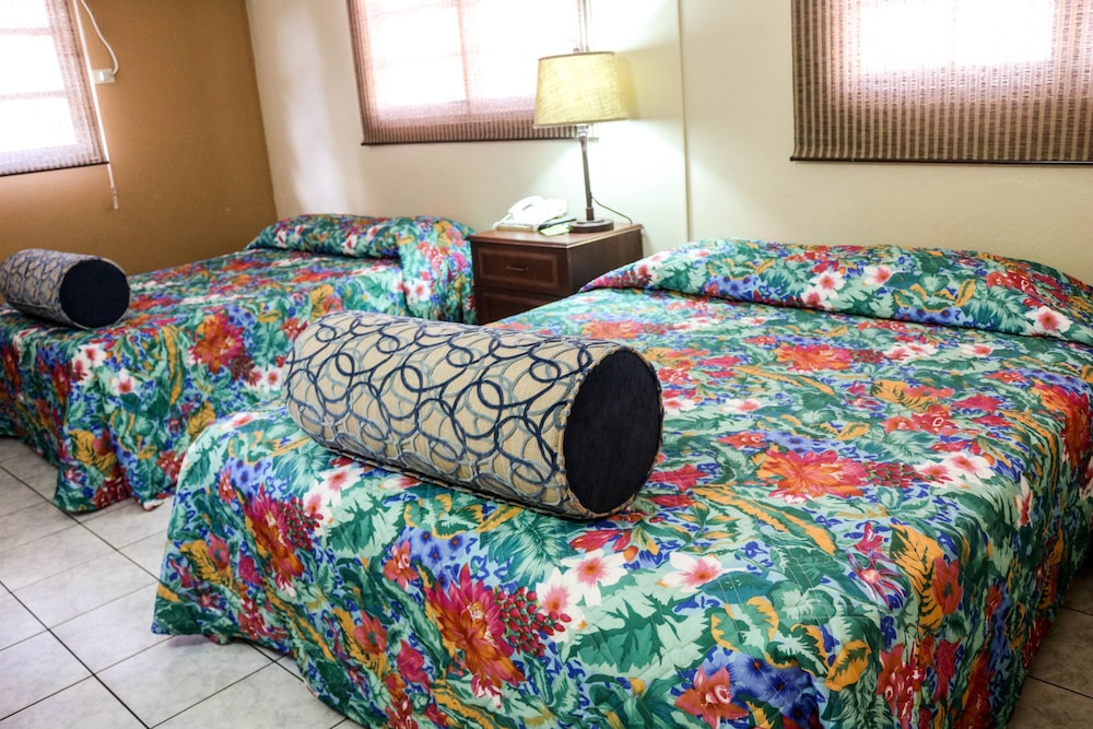 One Bedroom Queen Apartment